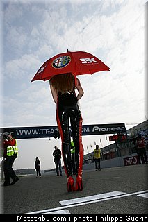 sbk_pitbabes_15_paysbas_2011_assen.JPG