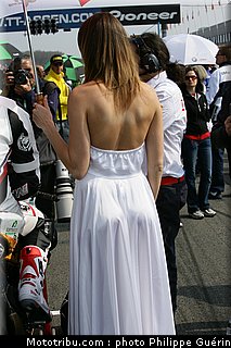sbk_pitbabes_32_paysbas_2011_assen.JPG