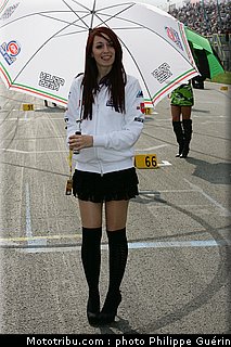 sbk_pitbabes_38_paysbas_2011_assen.JPG