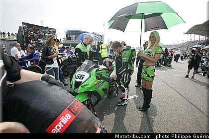 sbk_pitbabes_42_paysbas_2011_assen.JPG