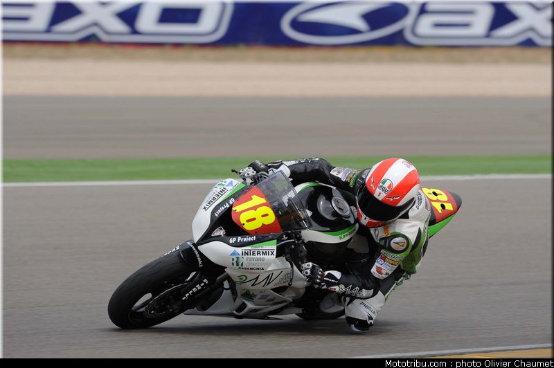 600stk_gamarino_3_espagne_aragon_2011