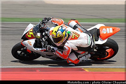 600stk_cocco_1_espagne_aragon_2011.jpg