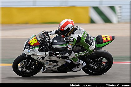 600stk_gamarino_1_espagne_aragon_2011.jpg