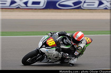 600stk_gamarino_3_espagne_aragon_2011.jpg