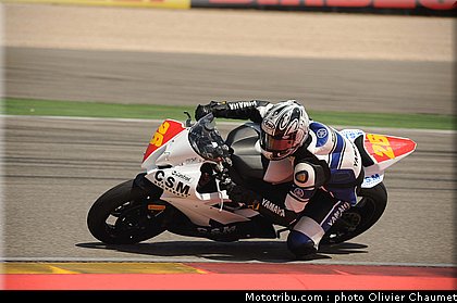 600stk_vrajitoru_1_espagne_aragon_2011.jpg