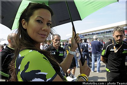 sbk_pitbabe_013_angleterre_silverstone_2011.jpg