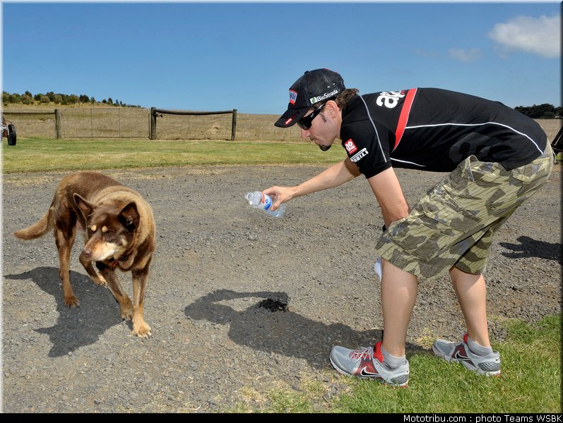sbk_biaggi_002_australie_2012_philip_island
