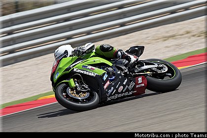 1000stk_guarnoni_001_espagne_aragon_2012.jpg