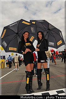 sbk_pitbabe_029_republique_tcheque_brno_2012.jpg