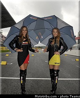 sbk_pitbabe_012_wsbk_2012_russie_moscou.jpg
