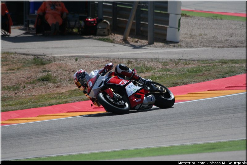 1000stk_jezek_001_aragon_2013
