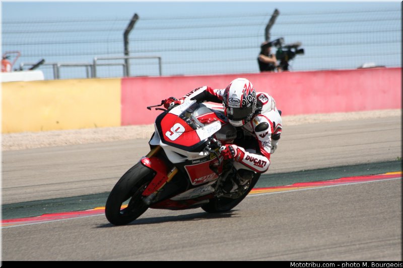 1000stk_jezek_004_aragon_2013