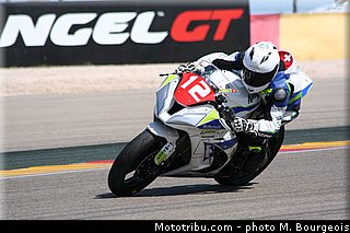 1000stk_crea_001_aragon_2013.jpg