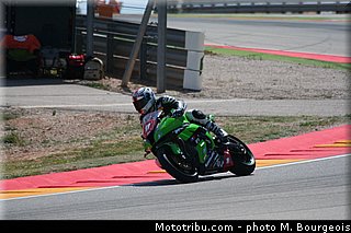 1000stk_guarnoni_002_aragon_2013.jpg