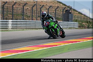 1000stk_guarnoni_005_aragon_2013.jpg