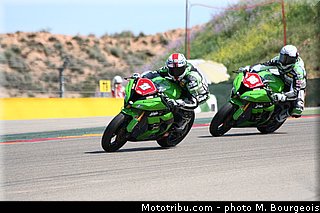 1000stk_guarnoni_007_aragon_2013.jpg
