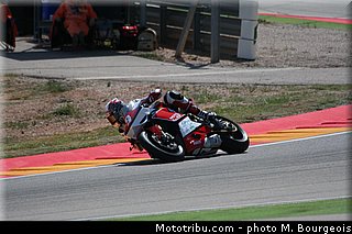 1000stk_jezek_001_aragon_2013.jpg
