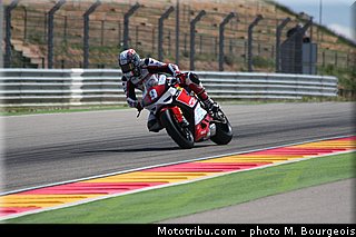 1000stk_jezek_002_aragon_2013.jpg