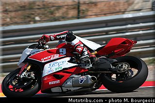 1000stk_jezek_003_aragon_2013.jpg