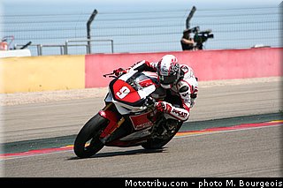 1000stk_jezek_004_aragon_2013.jpg