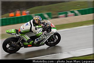 1000stk_butti_001_pays_bas_assen_2013.jpg