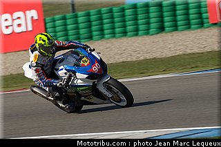 1000stk_ockelfelt_003_pays_bas_assen_2013.jpg