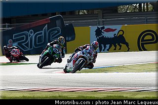 sbk_rea_007_pays_bas_assen_2013.jpg