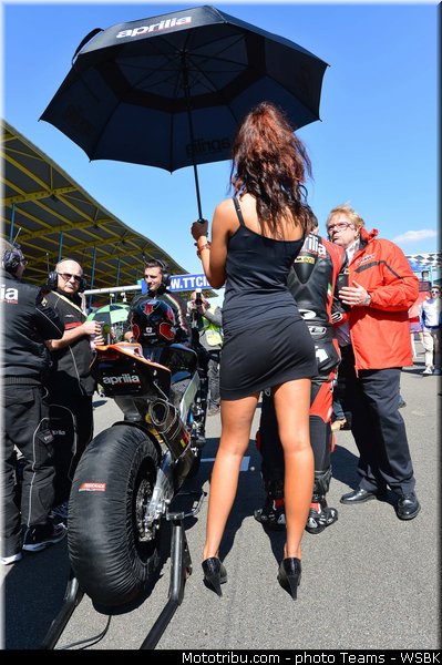 sbk_pit_babe_029_pays_bas_assen_2013