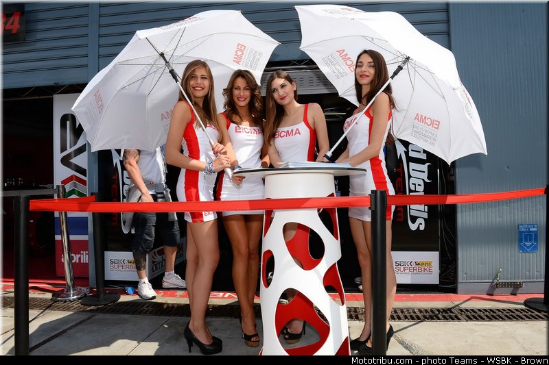 sbk_pit_babe_021_wsbk_2013_italie_monza