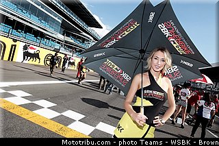 sbk_pit_babe_024_wsbk_2013_italie_monza.jpg