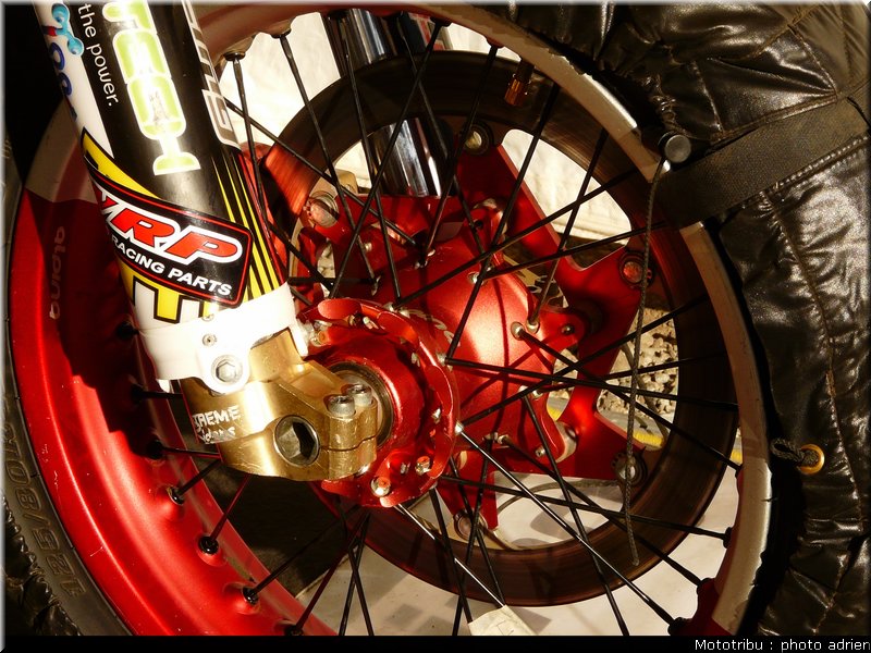 suzuki_davverio_seel_13