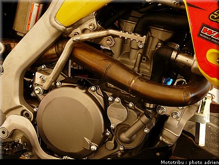 suzuki_davverio_seel_09.JPG