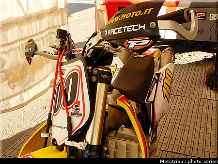 suzuki_davverio_seel_10.JPG