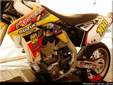suzuki_davverio_seel_12.JPG