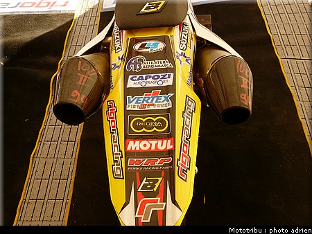 suzuki_davverio_seel_19.JPG