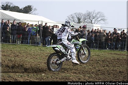 rombaut_009.jpg