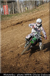 aranda_018.jpg