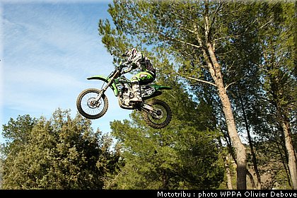 frossard_008.jpg