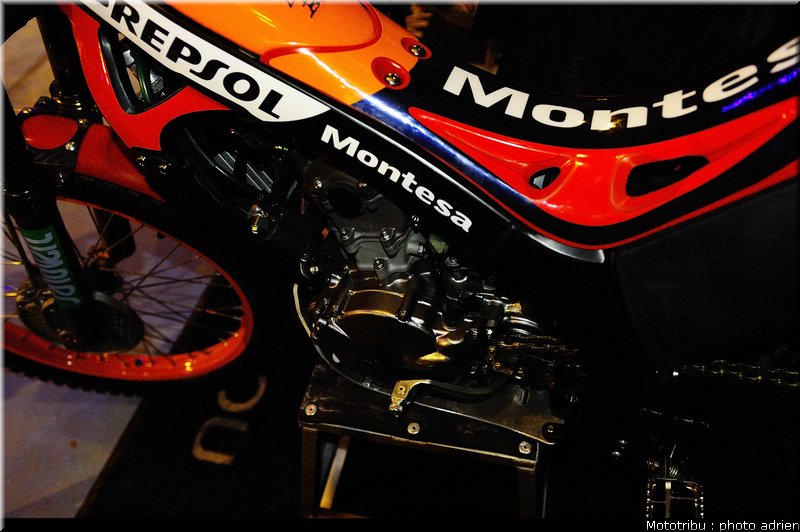 0023_paddock_08