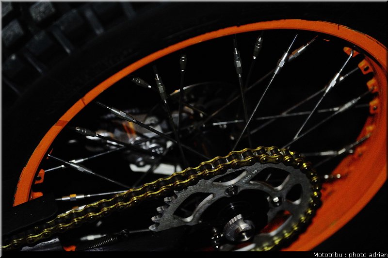 0024_paddock_09