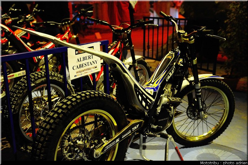 0031_paddock_16