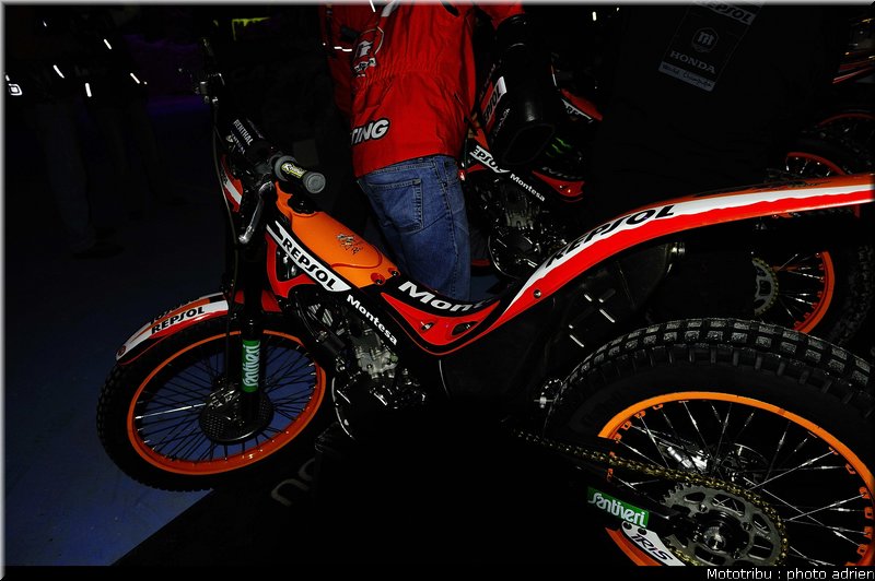 0036_paddock_21