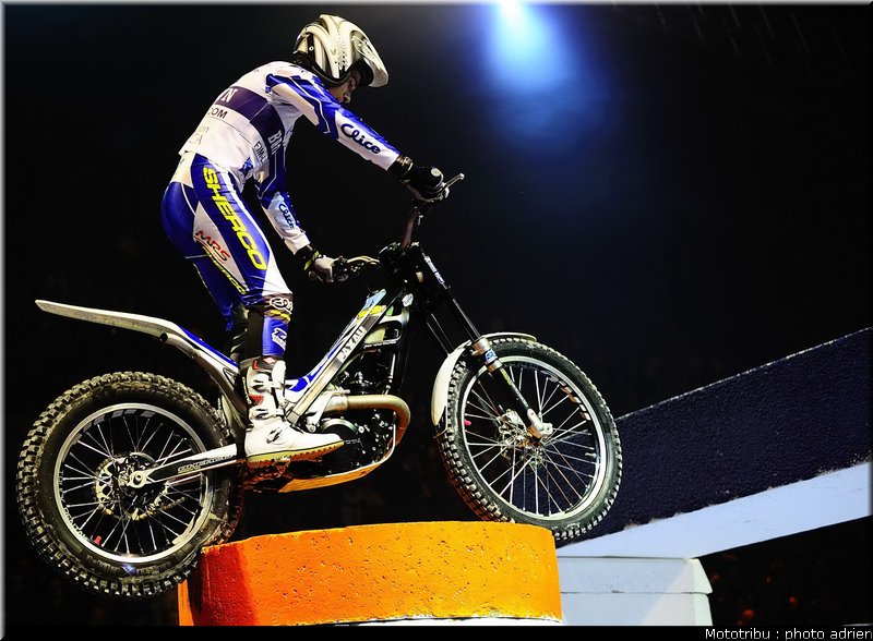 0076_brown_003_eliminatoires