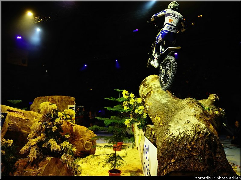 0085_brown_012_eliminatoires