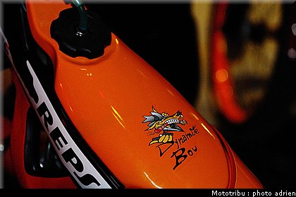0022_paddock_07.jpg