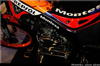 0023_paddock_08.jpg
