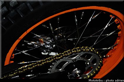 0024_paddock_09.jpg