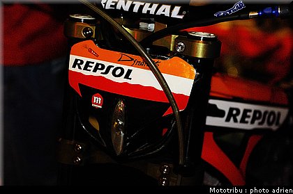 0028_paddock_13.jpg