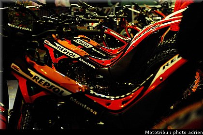 0029_paddock_14.jpg
