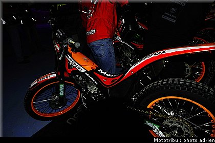 0036_paddock_21.jpg